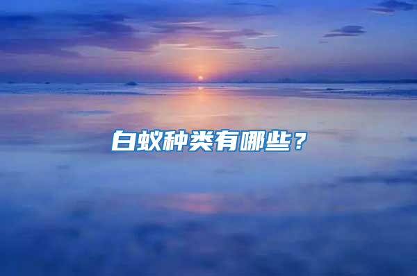白蟻種類有哪些？