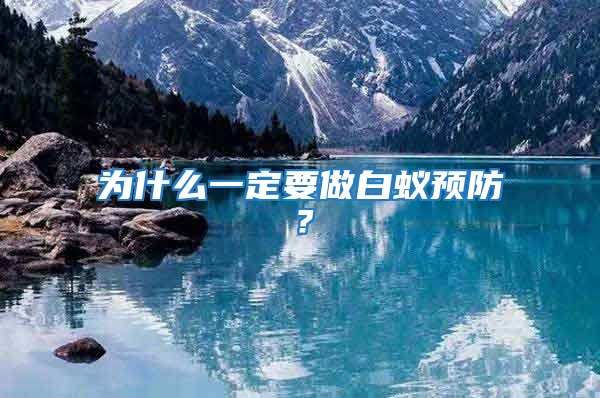 為什么一定要做白蟻預(yù)防？