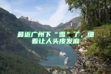 最近廣州下“雪”了，細看讓人頭皮發麻