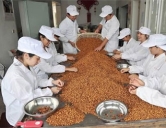 四害消殺：食品、加工行業