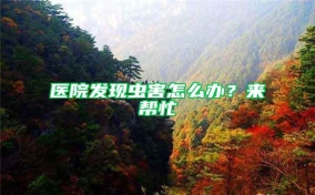 醫院發現蟲害怎么辦？來幫忙