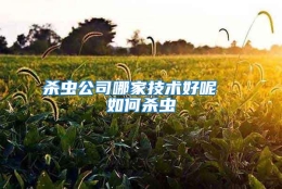 殺蟲公司哪家技術好呢  如何殺蟲